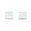 CHIKUEIDO jewelry　ピアス 「ファヤージュ【南天】」