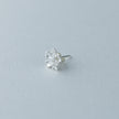 Peach Blossom Earrings [Season+]