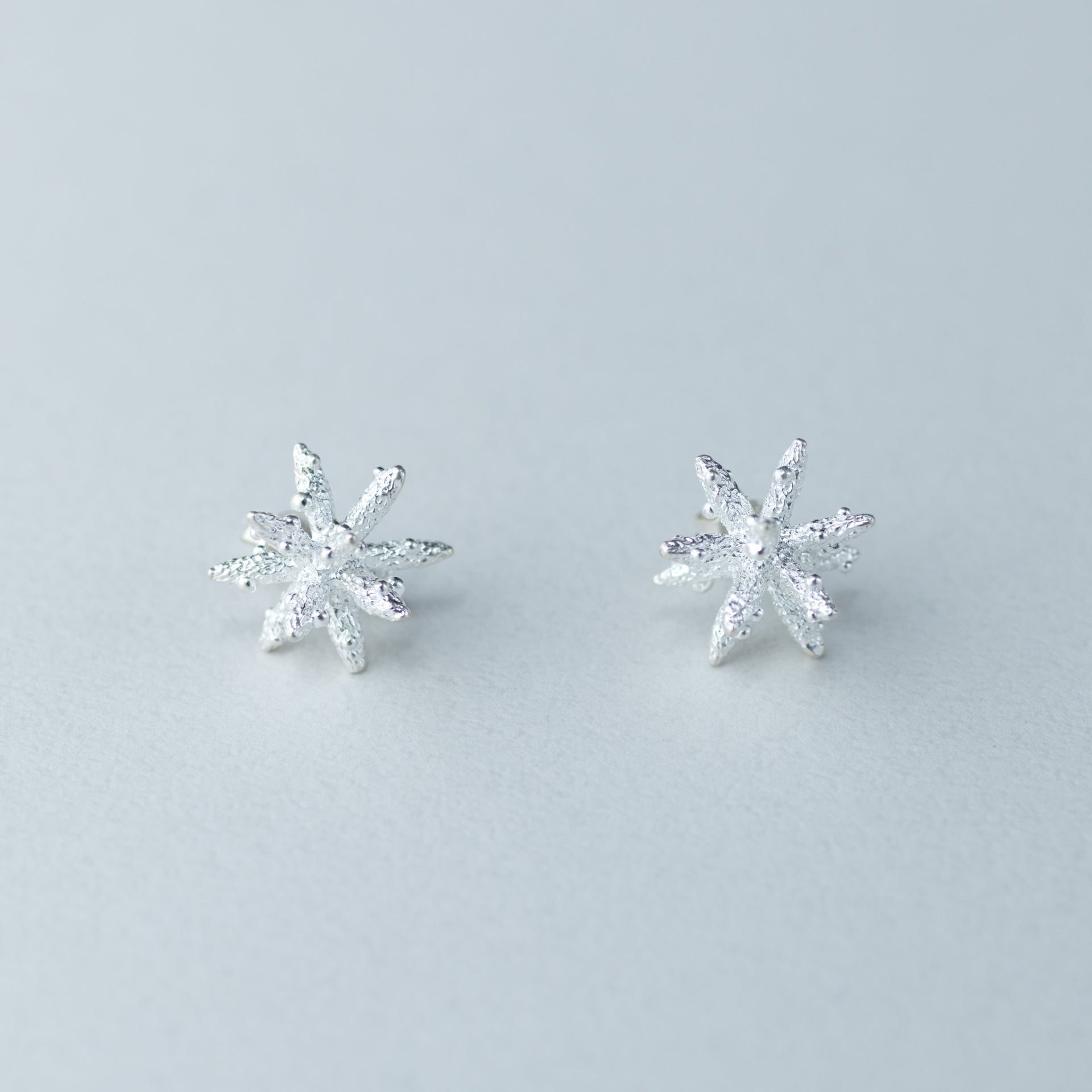 【候 】 ピアス 雪