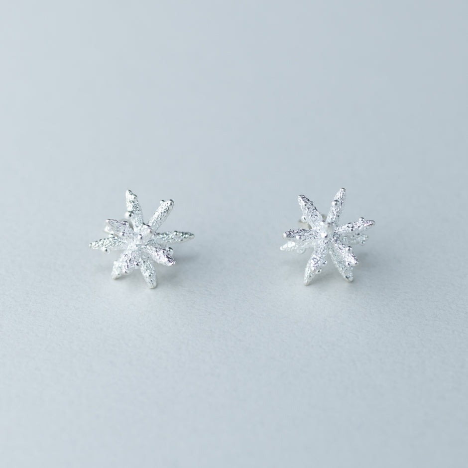 【候 】 ピアス 雪