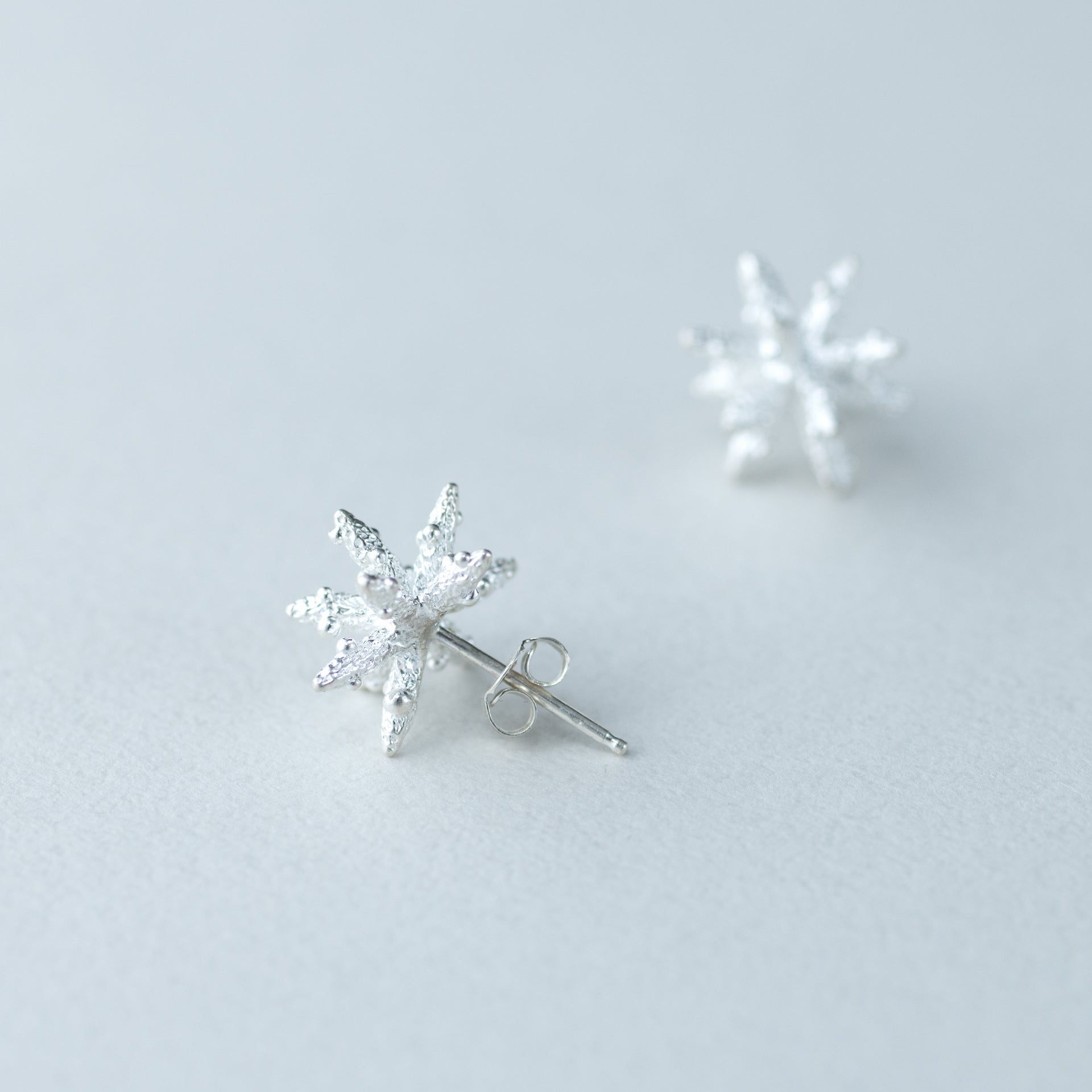 【候 】 ピアス 雪