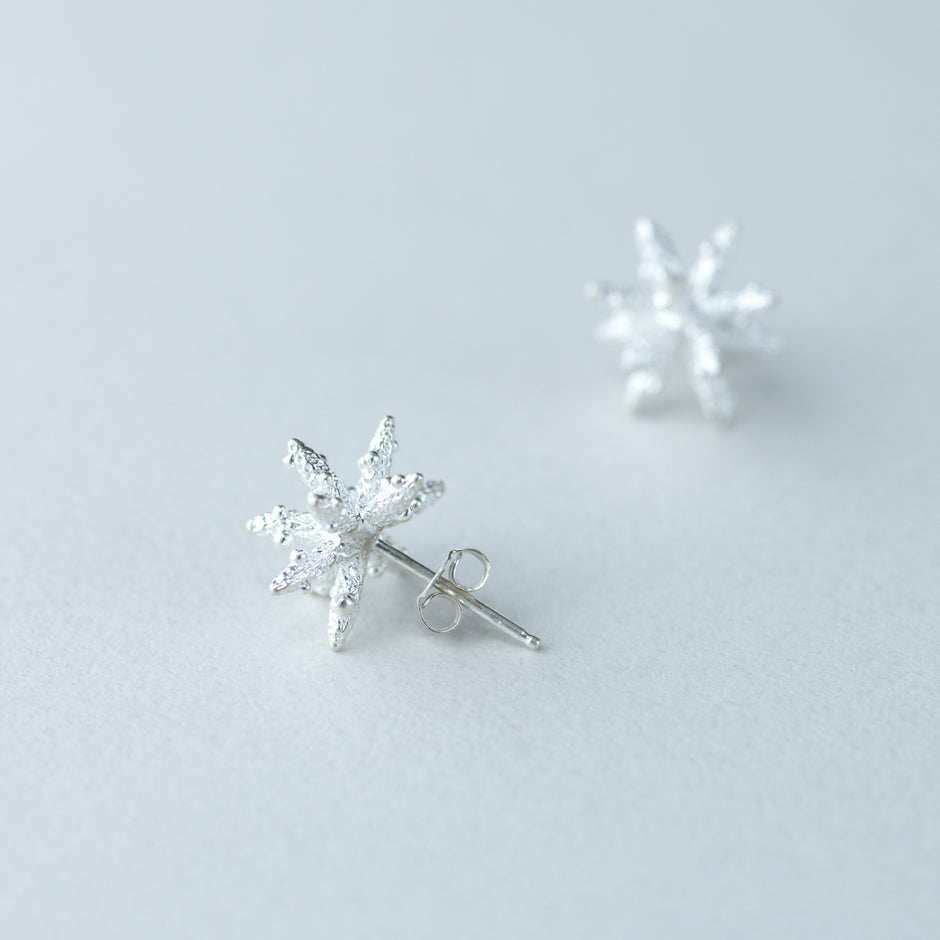 【候 】 ピアス 雪