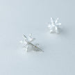 【候 】 ピアス 雪