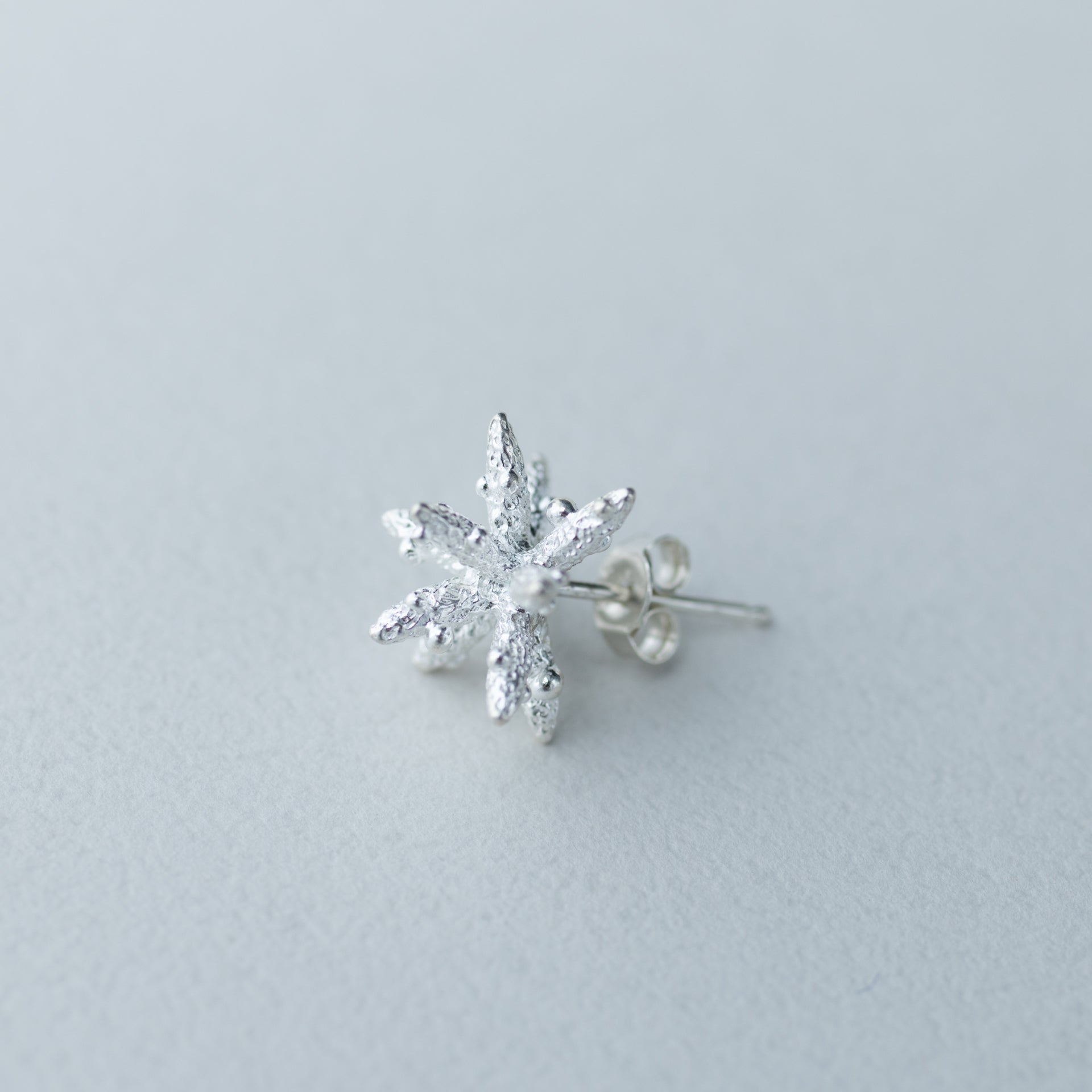 【候 】 ピアス 雪