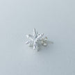 【候 】 ピアス 雪