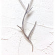 【Odds&Ends】WinterTree ペンダント