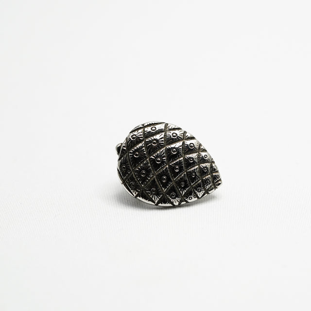 Obidome pine cone