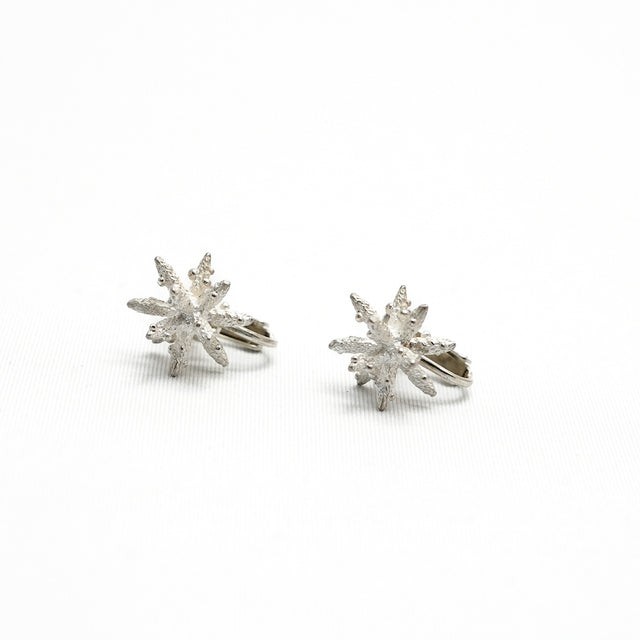 [Season] Snow Earrings